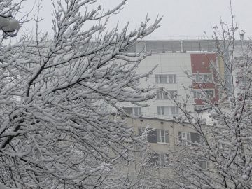 Слабый мороз прогнозируют в Нижнем Новгороде в выходные