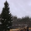 На главной площади Нижнего Новгорода установили новогоднюю елку