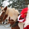 Сегодня в Нижний Новгород прибыл Дед Мороз
