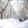 Долгожданный снег может порадовать нижегородцев в новогоднюю ночь