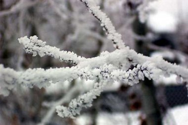 Холодная погода продержится в городе до конца января