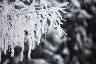 Холодная погода в Нижнем Новгороде будет держаться всю неделю