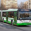 В Нижний Новгород вернутся автобусы-«гармошки»