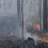 С 1 по 11 мая ведён запрет на посещение лесов повышенной пожароопасности