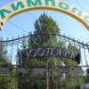 В нижегородском зоопарке на свет появились лемур, муфлон, агути и лисята