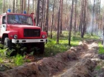 Опасность нового возгорания леса под Дзержинском сохраняется на площади около шести гектаров