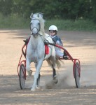 Имущество нижегородского ипподрома передано новому владельцу