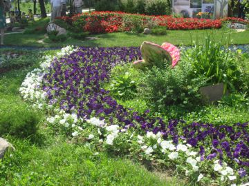 Праздник цветов откроется в Нижегородской области 26 июня