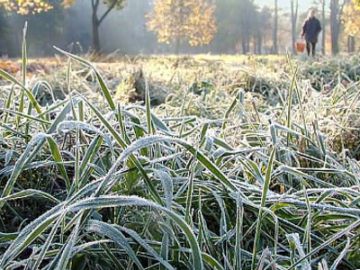 Дожди и заморозки до -2 ожидают нижегородцев в выходные