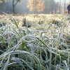 Дожди и заморозки до -2 ожидают нижегородцев в выходные