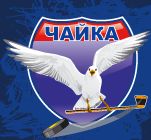Плохие новости для болельщиков молодежной хоккейной команды «Чайка»