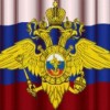 10 ноября российские полицейские отмечают профессиональный праздник