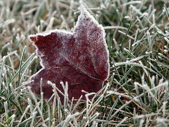 Холодная погода продержится в Нижнем Новгороде до конца недели