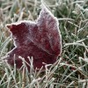 Холодная погода продержится в Нижнем Новгороде до конца недели