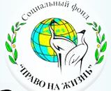Для воспитанников нижегородского реабилитационного центра «Бригантина» волонтеры из социального фонда «Право на жизнь» подготовили развлекательную программу