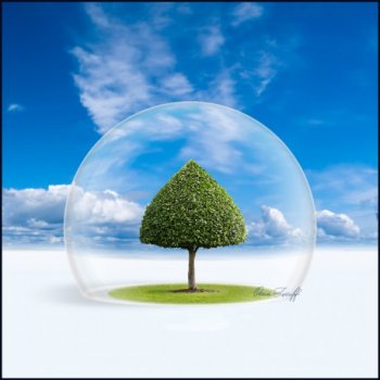 В киноцентре «Рекорд» пройдёт «Ярмарка экологических проектов»