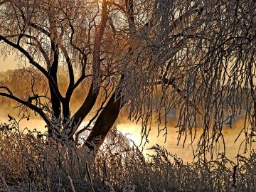 Нижегородцев ожидает снежная и теплая неделя