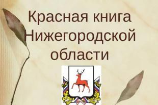 38 видов животных и птиц исключены из Красной книги области из-за увеличения их численности