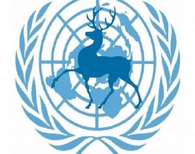 В ННГУ им. Лобачевского пройдёт Нижегородская международная модель ООН