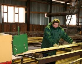 В апреле этого года на лесопромышленных предприятиях региона будет создано более 150 новых рабочих мест