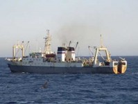 Житель Нижегородской области находился на борту затонувшего траулера