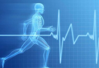 В Нижнем Новгороде создан Институт реабилитации и здоровья человека