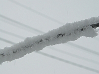 Более 20 поваленных деревьев и 20 случаев обрывов электропроводов - результат снегопада, который обрушился на Нижний Новгород вчера вечером