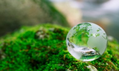 25 апреля в Нижнем Новгороде пройдёт экологический праздник