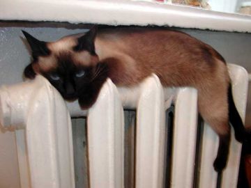 Отопление планируется отключить в Нижнем Новгороде на этой неделе