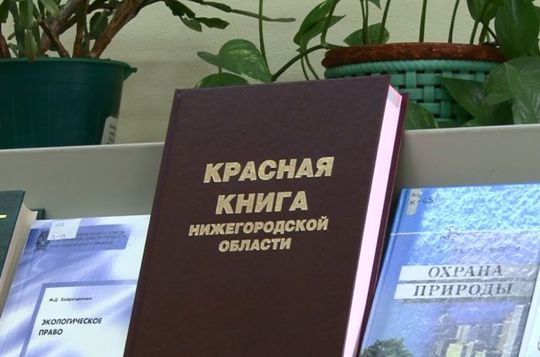 Второе издание Красной книги Нижегородской области подарили областной библиотеке