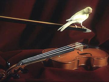 «Времена года» исполнят «Солисты Нижнего Новгорода» в нижегородском метро