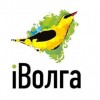90 нижегородцев стали участниками Молодежного форума Приволжского федерального округа «iВолга-2015»