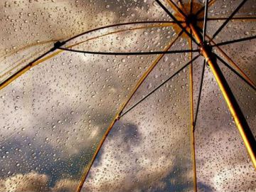 Дождь с грозой и сильный ветер прогнозируются в Нижнем Новгороде в выходные