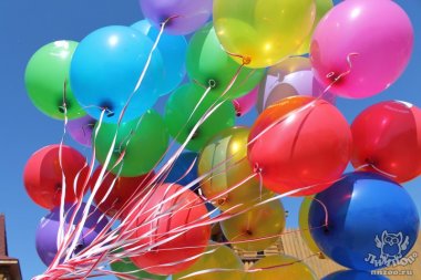 Программа мероприятий на День Рождения Лимпопо 26 июля