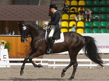 Нижегородцы Сергей Федорин и Ольга Земскова выиграли «бронзу» в чемпионате России по конному троеборью