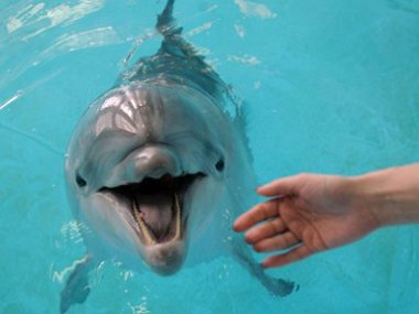 На автомобильном нижегородском комплексе Нижегородское кольцо пройдёт мото трек-день