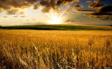 Продолжается конкурс профессиональной и любительской фотографии Моя Россия