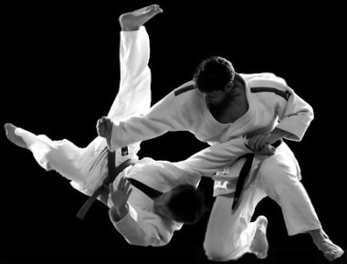 22 ноября в Нижнем Новгороде состоится фестиваль боевых искусств