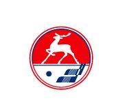 Нижегородское “Торпедо досрочно обеспечило себе кубковое будущее, но расслабляться автозаводцам нельзя