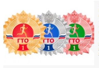 Нижний Новгород впервые присоединяется к участию во всероссийском физкультурно-спортивном комплексе «ГТО»