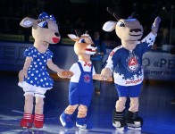 Нижегородцы придумают имя маленькому талисману «Торпедо»