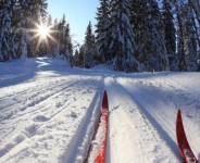 Нижегородцы посоревнуются в лыжном спорте на базе «Сормович»