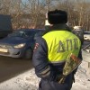 Нижегородская госавтоинпекция вышла в «цветочный патруль»