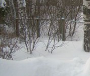 Пропавшие нижегородские подростки Никита Молев и Роман Пилюгин провели ночь в лесу