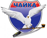 Нижегородская «Чайка» обыграла «Локо» и сравняла счет в финальной серии
