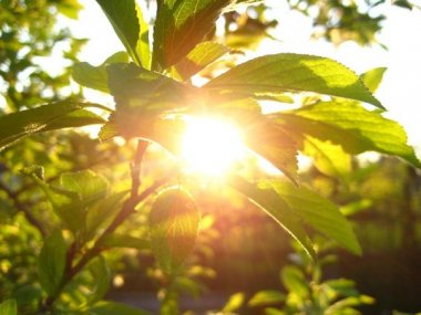 Нижегородский планетарий приглашает 3 мая встретить День Солнца