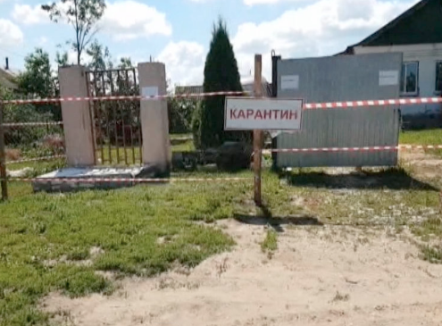 Единственный в Нижегородской области очаг африканской чумы свиней полностью ликвидирован