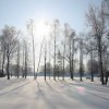 Резкое похолодание ожидает нижегородцев в начале рабочей недели
