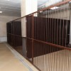 Полноценный приют для бездомных животных открывается в Нижнем Новгороде