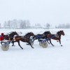 На Нижегородском ипподроме пройдут первые заезды рысаков